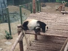 -大连森林动物园