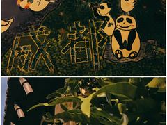 -泡桐树街