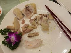 -黄埔华苑酒家(黄埔店)