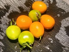 -吴越荣记苏州菜·松鼠桂鱼100%活鱼现做(斜塘老街店)