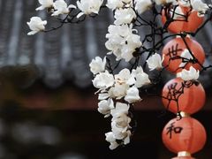 -杭州上天竺法喜讲寺
