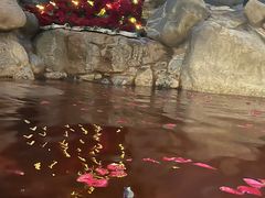 -湖泉半山温泉