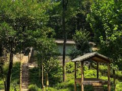 -中国大熊猫保护研究中心雅安碧峰峡基地