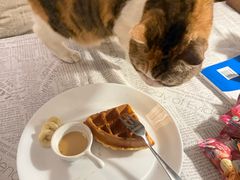 -隅cafe(傅厚岗店)