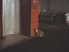 -同福社