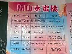 -老袁家蜜桃农场·阳山水蜜桃