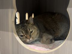 -财東财·棋牌(五角场店)