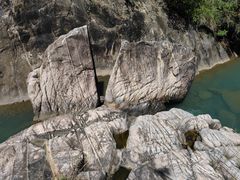 -广州白江湖森林公园