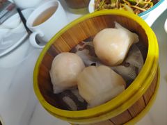 -东方早茶 海鲜•青岛菜(国信体育中心店)
