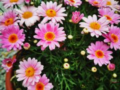 -AHAVA·Fang Baking Studio