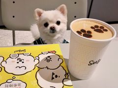 Never&nbsp;限定咖啡-Seesaw Coffee(上生新所店)
