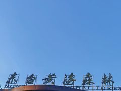 -黄海国家森林公园