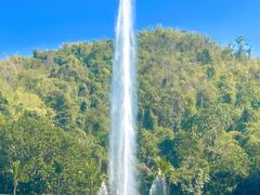 -西双版纳原始森林公园