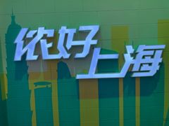 -李宁(大宁国际旗舰店)