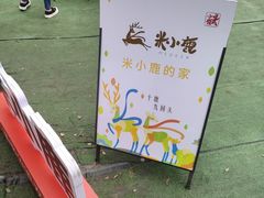 -广富林郊野公园