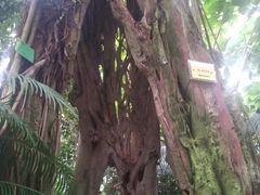 -华南国家植物园-售票处