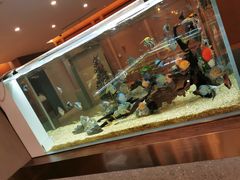 -黄鱼炙夜(华家池店)
