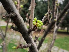 -哈尔滨北方森林动物园