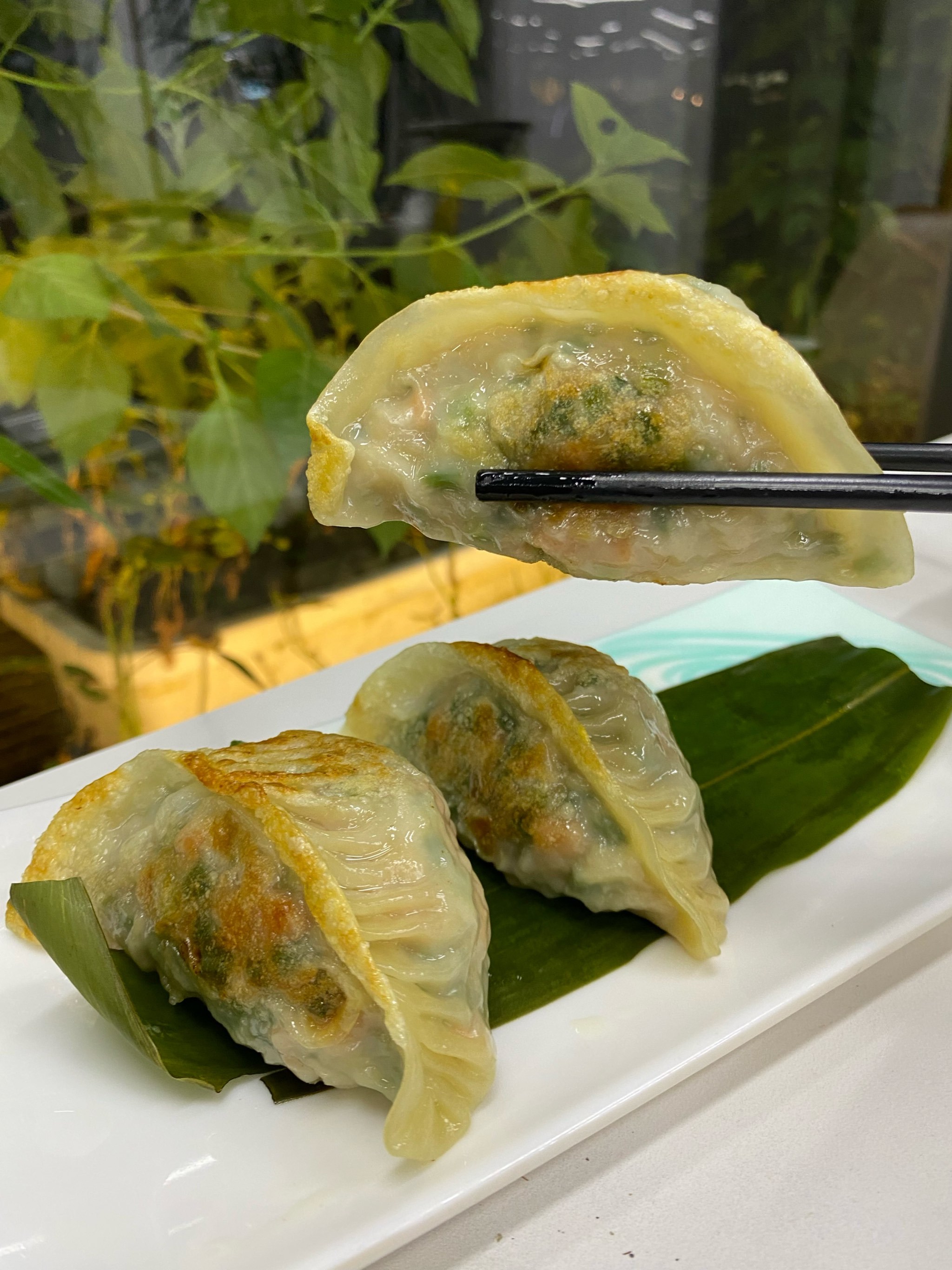 容桂新增饮茶好去处丨真真有米