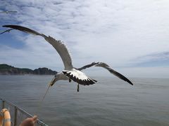-海驴岛(荣成市)