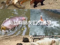 -泉州海丝野生动物世界