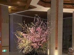 -浅深Cheersum(曹杨店)