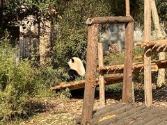 -安吉竹博园