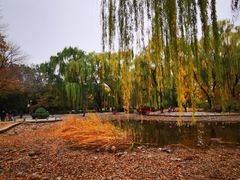 -玲珑塔公园