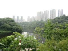 -重庆彩云湖湿地公园
