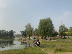 -两河城市森林公园
