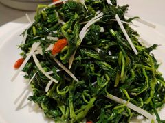 养生枸杞苗-中发源·清真餐厅(南油店)