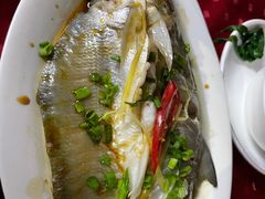 -蛇口康乐快餐鱼仔档(翠苑小区店)
