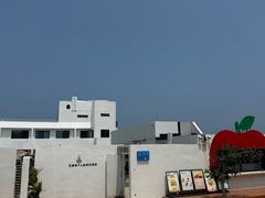 -养马岛旅游度假区