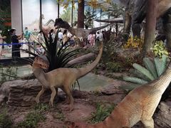 -湖南省地质博物馆