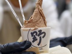 -野人先生现做冰淇淋(北京悠唐购物中心店)