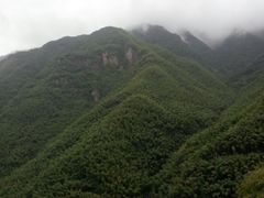 -藏龙百瀑风景区