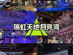 -瑞虹新天地月亮湾