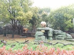 -常州淹城野生动物世界