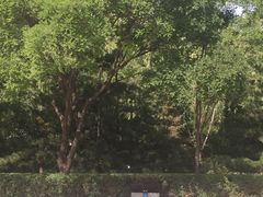 -森林公园(尖草坪区)