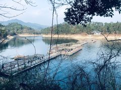-千岛湖东南湖区