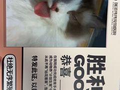 -伟伟宠物医院·CT影像中心·瑞派犬猫综合性门诊(汉口总院)