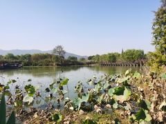 -长兴太湖图影湿地文化园