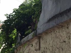 -十号名邸精品酒店（上海音乐学院店）(原复旦五官科医院店)