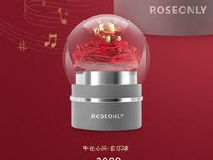 -ROSEONLY诺誓(国际广场购物中心店)