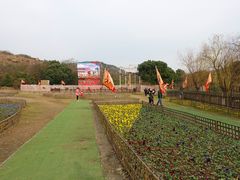 -白马涧龙池景区