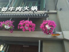 -手选潮汕鲜活牛肉火锅(二七广场店)