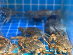 -聚丰园•湖鲜餐厅(阿红私房菜梅石路店)