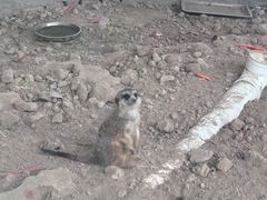 -广东花都香草世界旅游度假区