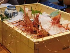 -月龍吟(朝龙汇店)