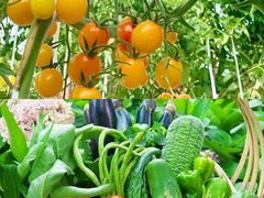 -广州市红十字会医院(总院)